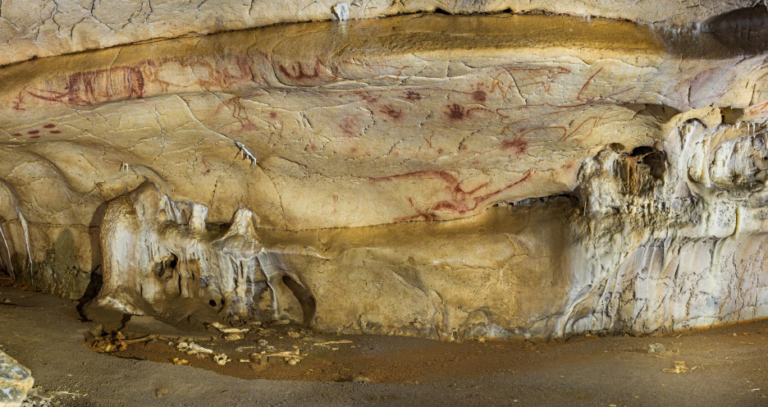 Virtual Tour: Chauvet-Pont D’Arc Cave | French-American Cultural Foundation