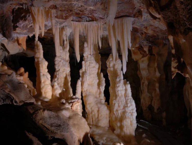 chauvet cave tour