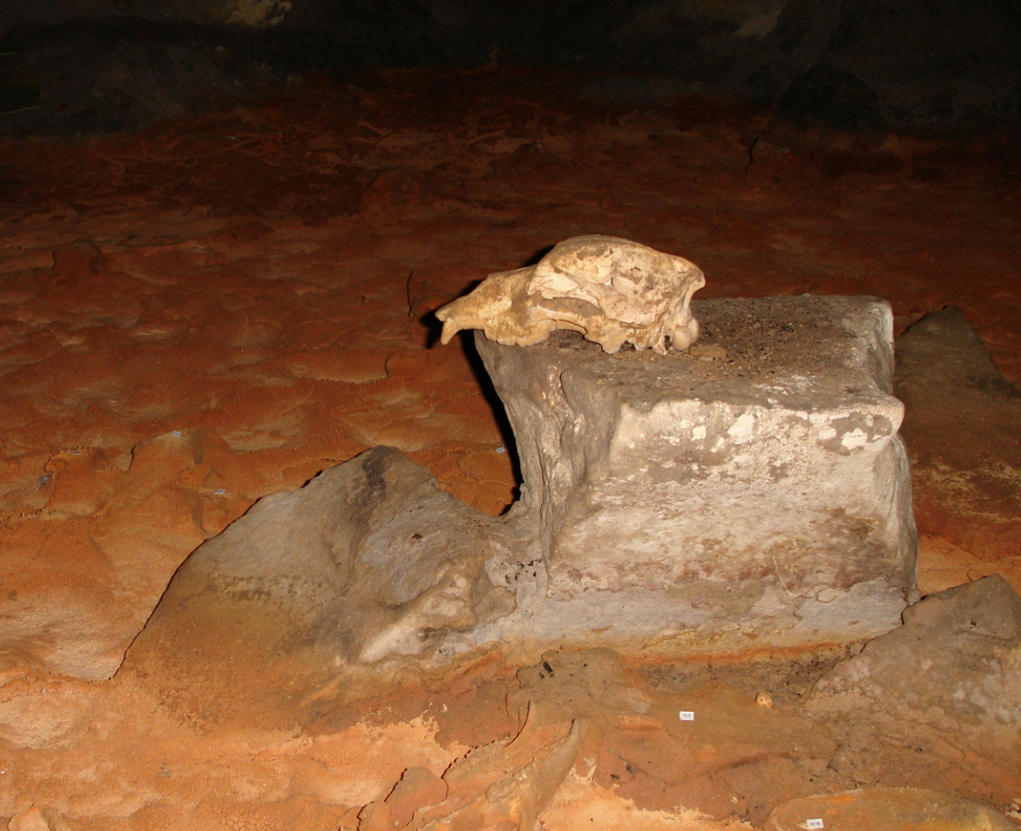 chauvet cave tour