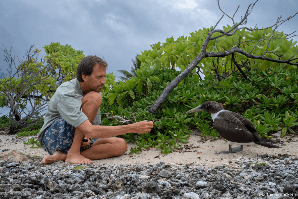 FACF – Secret Atoll – Blog – 1