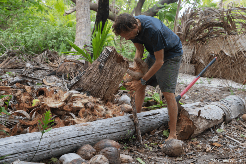 FACF – Secret Atoll – Blog – 7